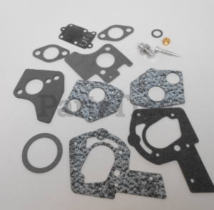 Briggs and Stratton 495606