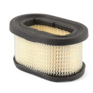 Briggs and Stratton 497725