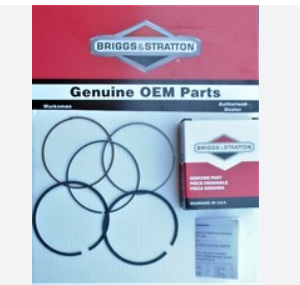 Briggs and Stratton 792649