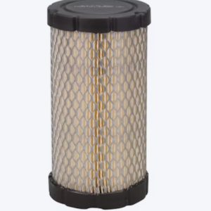 Briggs and Stratton 793569