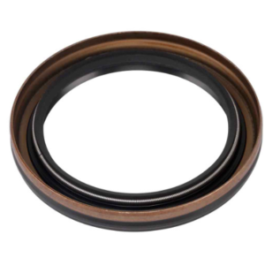 Briggs and Stratton 795387