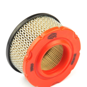 Briggs and Stratton 797819